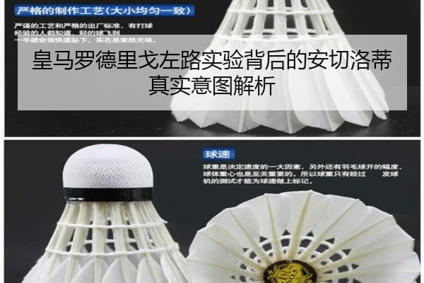 皇马罗德里戈左路实验背后的安切洛蒂真实意图解析